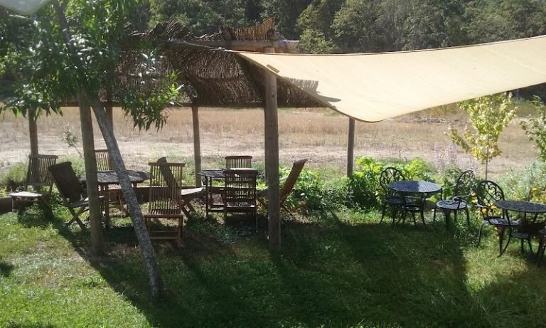 39592 3e57c0b4c6b1 768x461