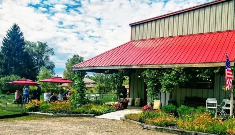 39637 bb5c4a9fc669 768x442