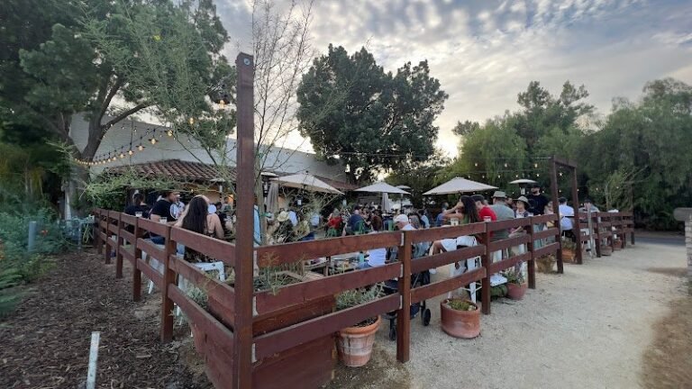 39706 14052b9886a5 768x432