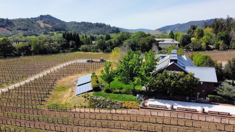 39790 099d33f108a1 768x432