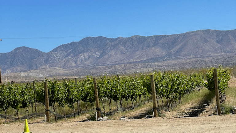 40166 c39d08c17944 768x432