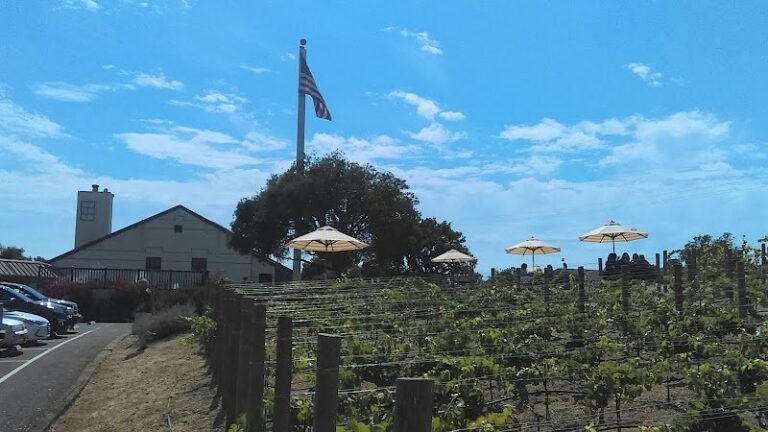 40170 b18ec5613209 768x432