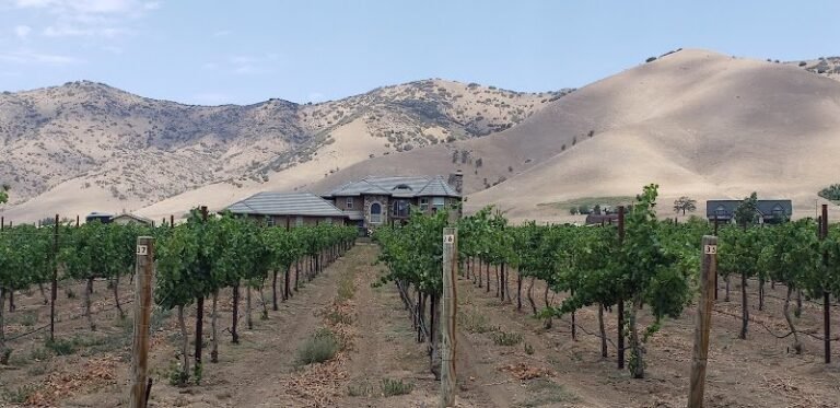 40203 48cdbda0da17 768x373