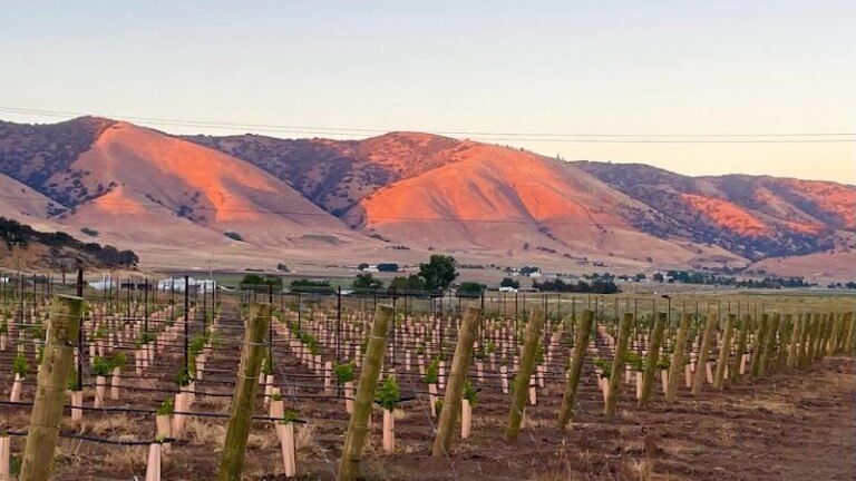 40207 d47867aabc91 768x432