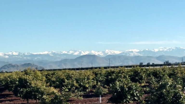 40291 37a3c455a436 768x432