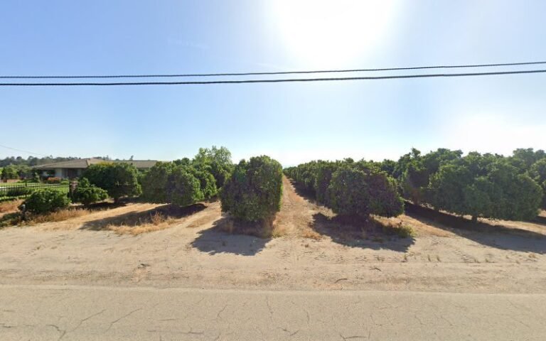 40297 d5fc740fb1aa 768x480