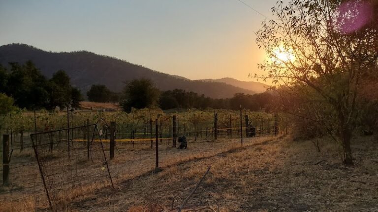 40299 47e4a4ecd77a 768x432