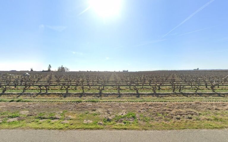 40310 46f9823ba70d 768x480