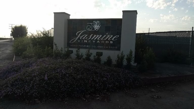 40330 a3037a1b69bc 768x432