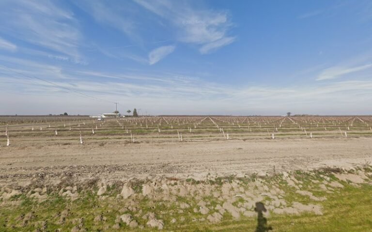 40353 7377017802b9 768x480