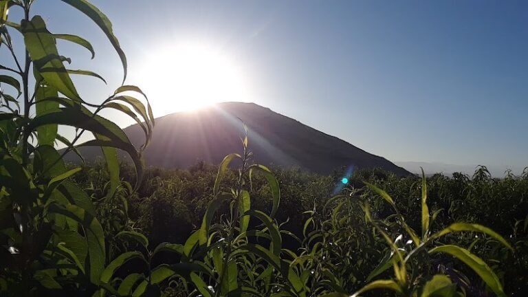 40364 a401d34a503b 768x432