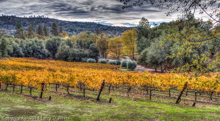 40378 5884ba46abb1 768x424