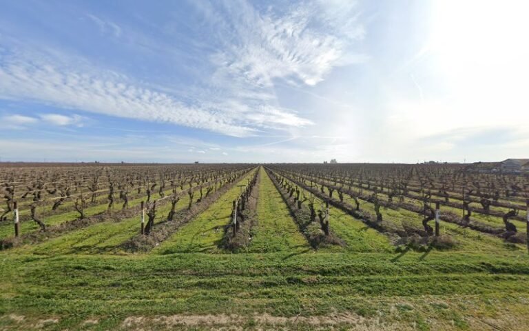 40380 808d9cb1c9bf 768x480