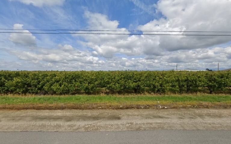 40388 5c97c0ec95bc 768x480