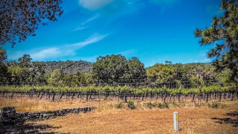 40431 ec00c6575cd2 768x432