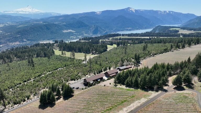 40476 21bfdb014a92 768x432