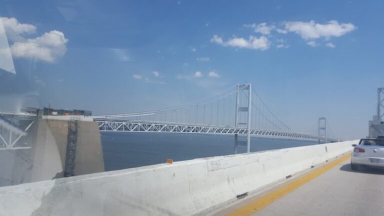 40502 f7c4d4b171a1 768x432