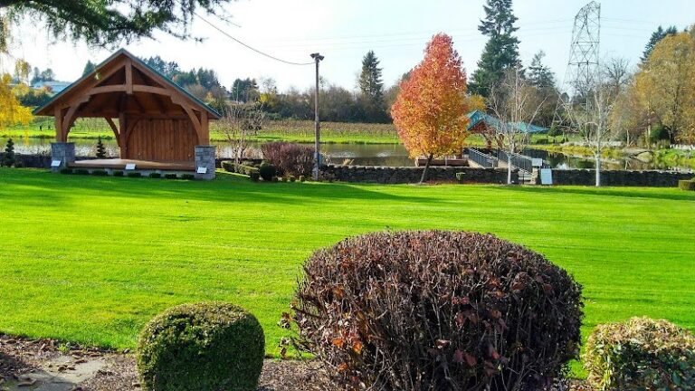 40513 bf9d51de4dd0 768x432