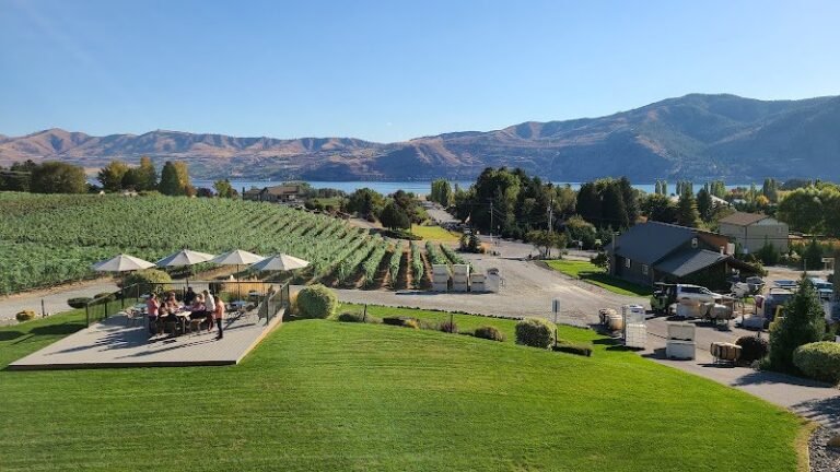 40611 be00ebcecc34 768x432