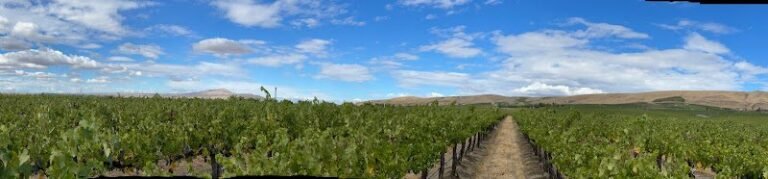 40672 6702088565b6 768x179