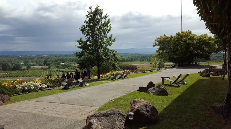 40694 9f63737633f1 768x432