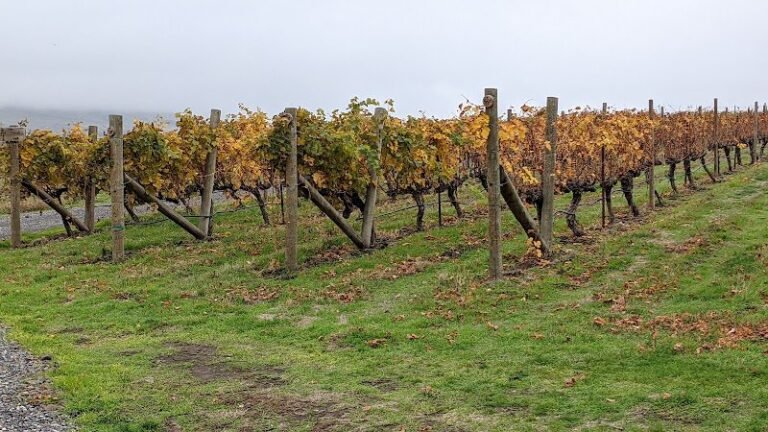 40698 ed1d4bccf009 768x432