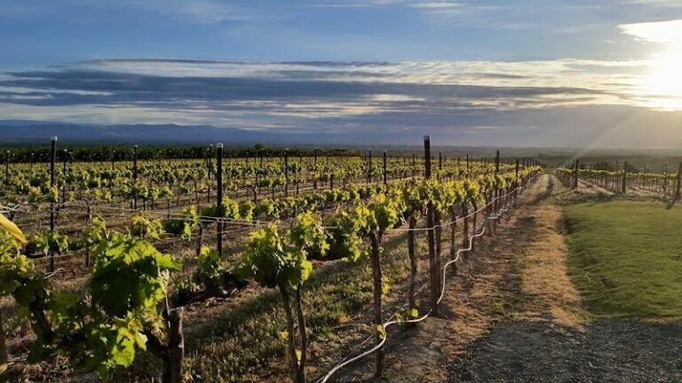 40712 580fd49bd7d6 768x432