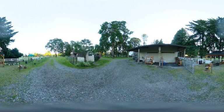 40786 cb6a0a280016 768x384