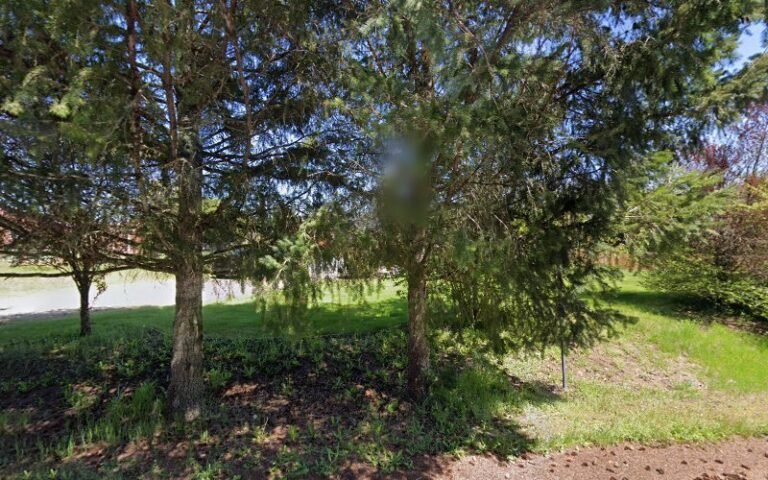 40800 1c95ef285b1f 768x480