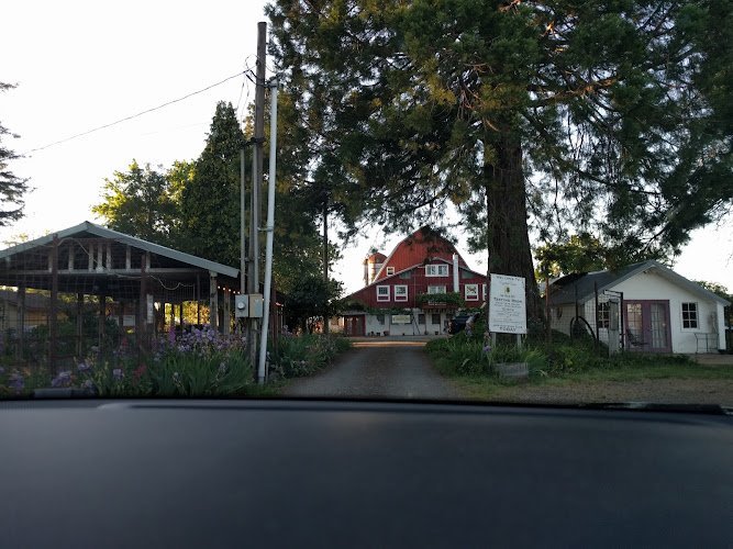 Featured image