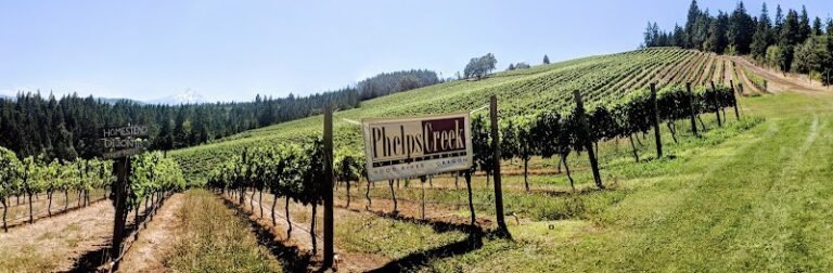 40867 6b6cf2ad4a6b 768x252