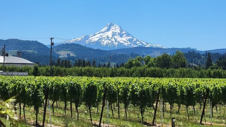 40879 fcfdcc731858 768x432