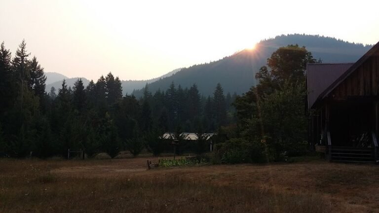 40933 f5a5e9d067fb 768x432