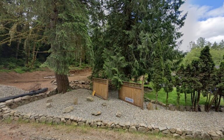 40937 8443ed372c59 768x480