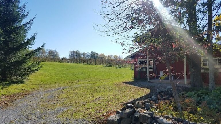 41005 afca1abb80dd 768x432