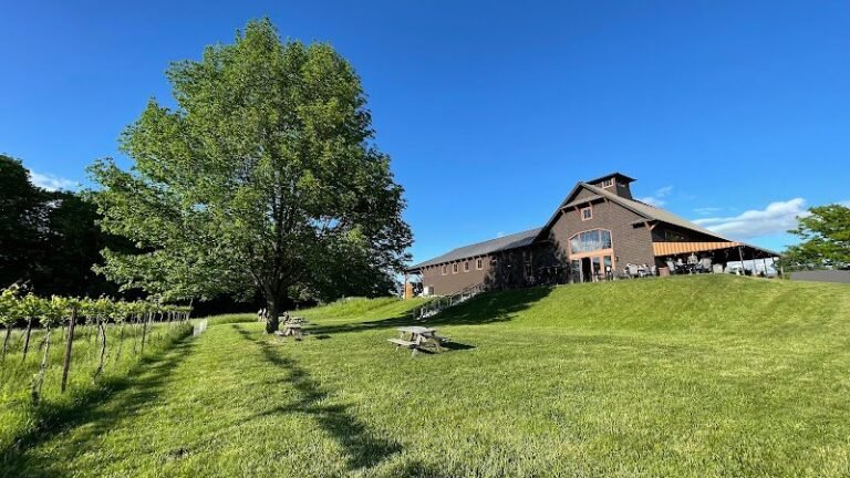 42017 aa9a0762738d 768x432