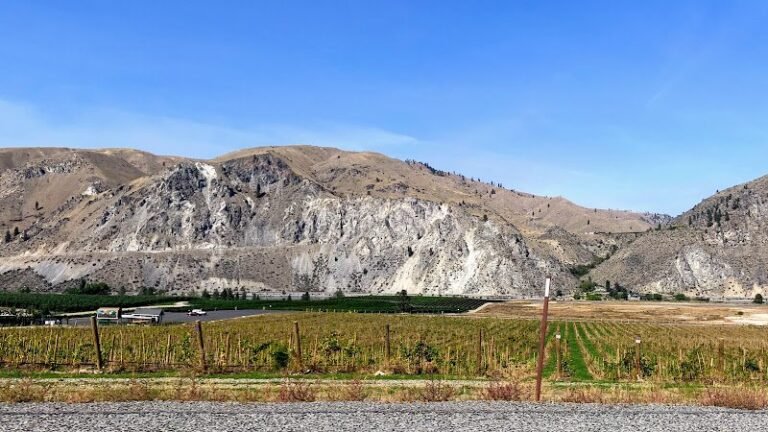 42054 dd772cf34ad0 768x432