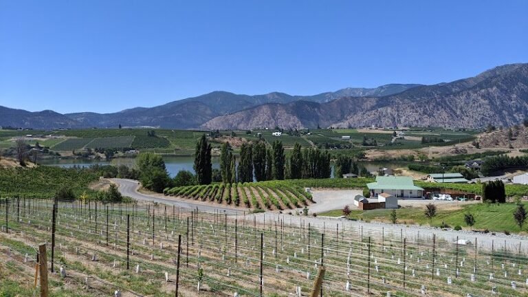 42089 4ebadefd0d47 768x432