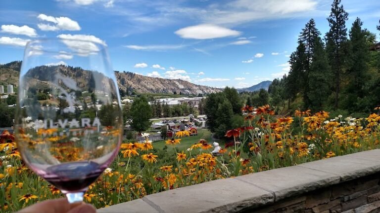 42134 0e1f261d63d5 768x432