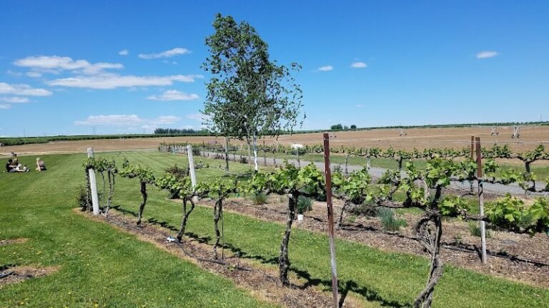 42200 0ada6a4854c2 768x432