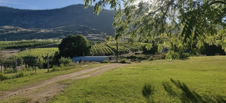 42220 8ec3937c77fc 768x351