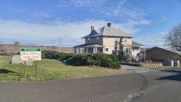 42242 6788c4828159 768x432