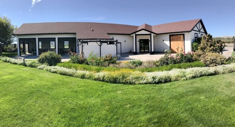 42247 0732b43ab2cc 768x415