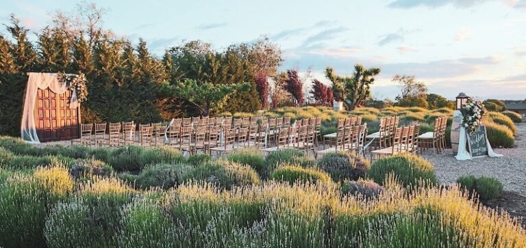 42285 4dfb5204f753 768x363