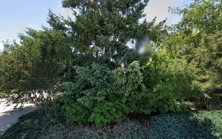 42304 66f4bb7ba8e6 768x480