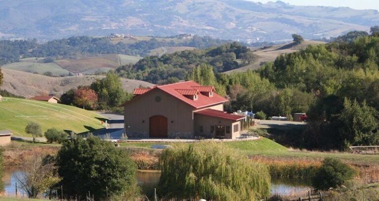 42403 5cd85ddde14f 768x408