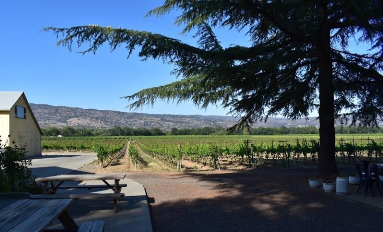 42444 94df0c60c2a5 768x465