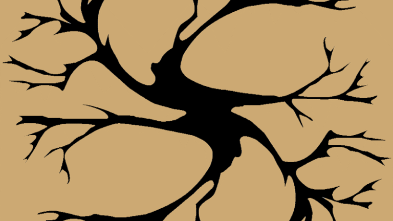 42476 98c451ae5273 768x432