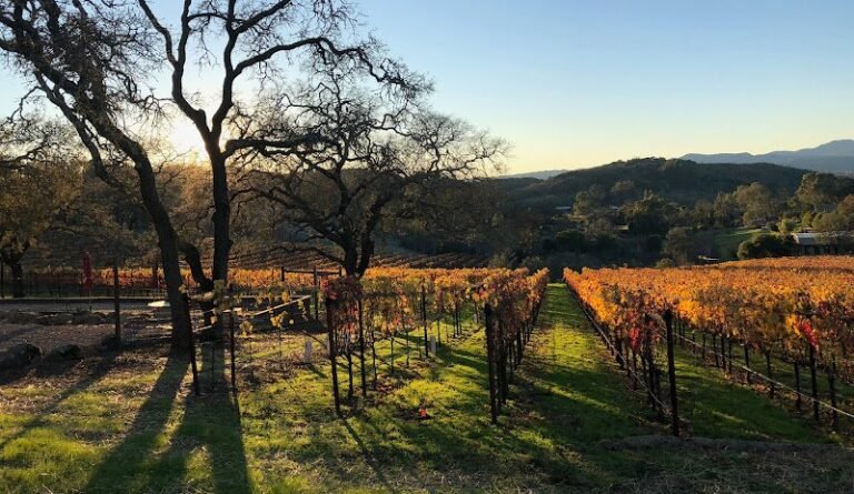 42478 cefacf70124c 768x445