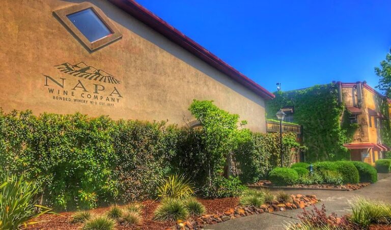 42482 4650bfea5cfa 768x453